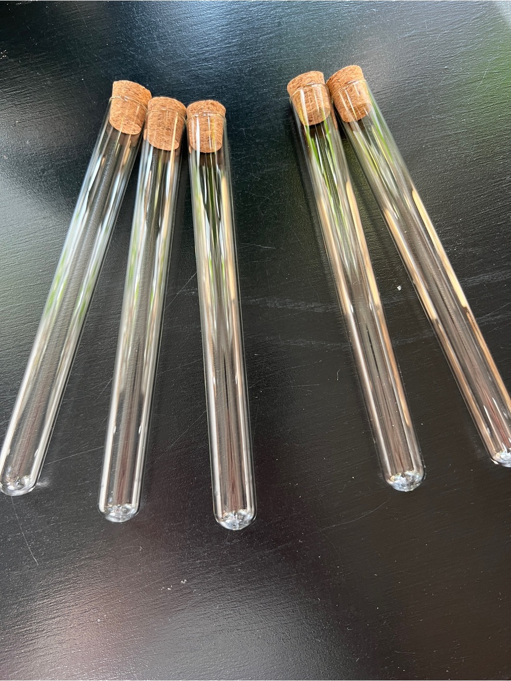 Five test tubes vials propagation vases